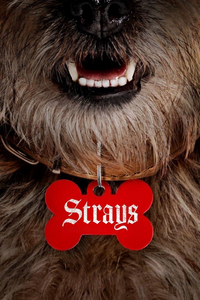 Strays movie poster