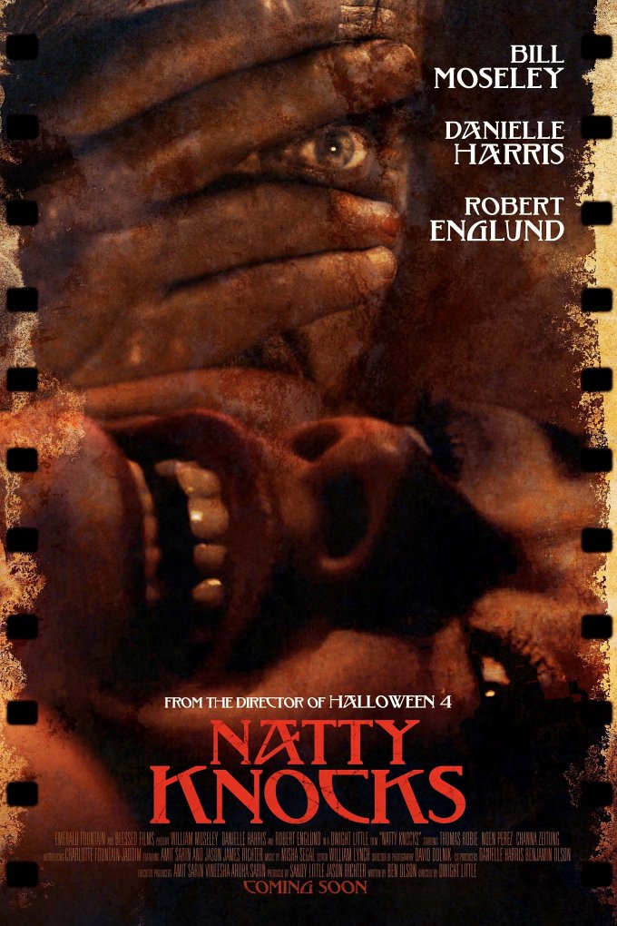 Natty Knocks movie poster