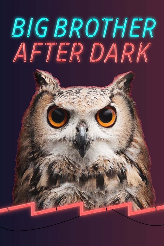 Season 23 of Big Brother: After Dark poster