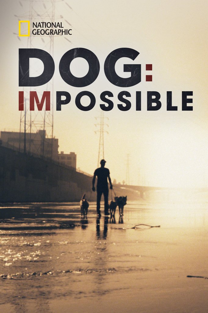 Season 3 of Dog: Impossible poster