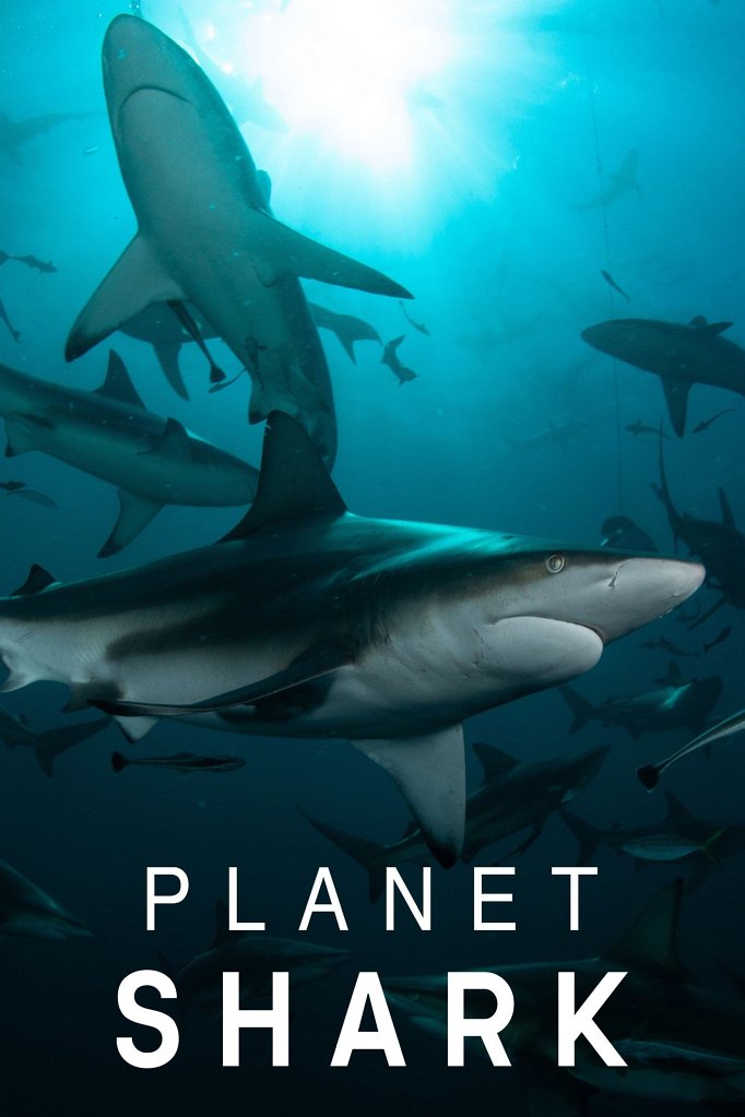 Season 3 of Planet Shark poster